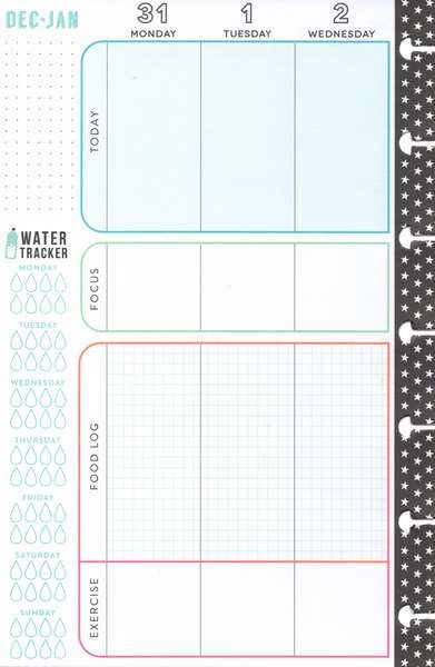 Mini Deluxe Happy Planner® - Healthy Hero (2019) SKU: PLNM-98 - January Weekly View Page (Half) - Secretly Scrapbooking (Bunbury, WA)